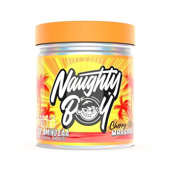 Naughty Boy  Summer Vibes