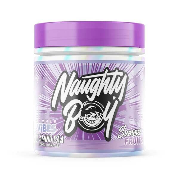 Naughty Boy  Summer Vibes