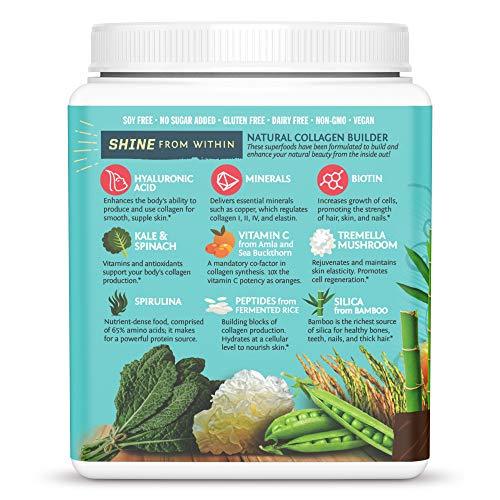 Sunwarrior Vegan Collagen Building Protein Peptides